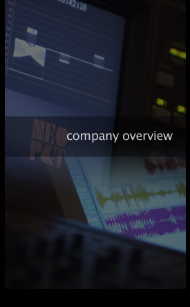 company overview